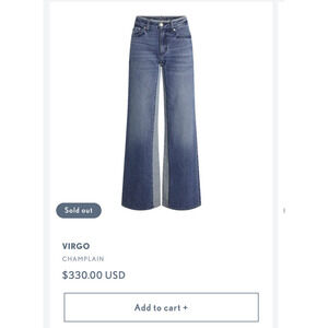 Daily Blue by Adriano Goldschmied Virgo Two-tone Wide Leg Jean size 28 NWT